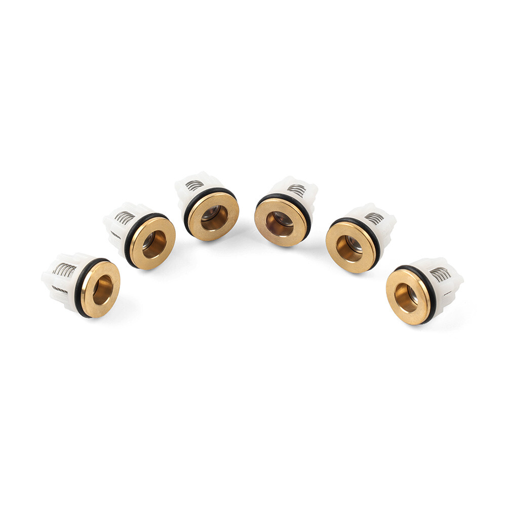 Check Valve Kit Fit for AR 42123 Pressure Washer Pump RMV RMW