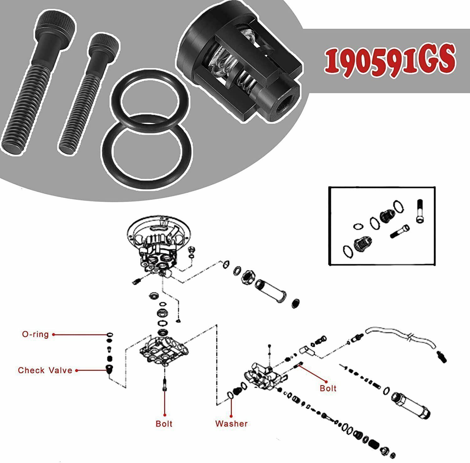 190591GS Pressure Washer Pump Valve Check Kit for Briggs Stratton Snapper 25 pcs