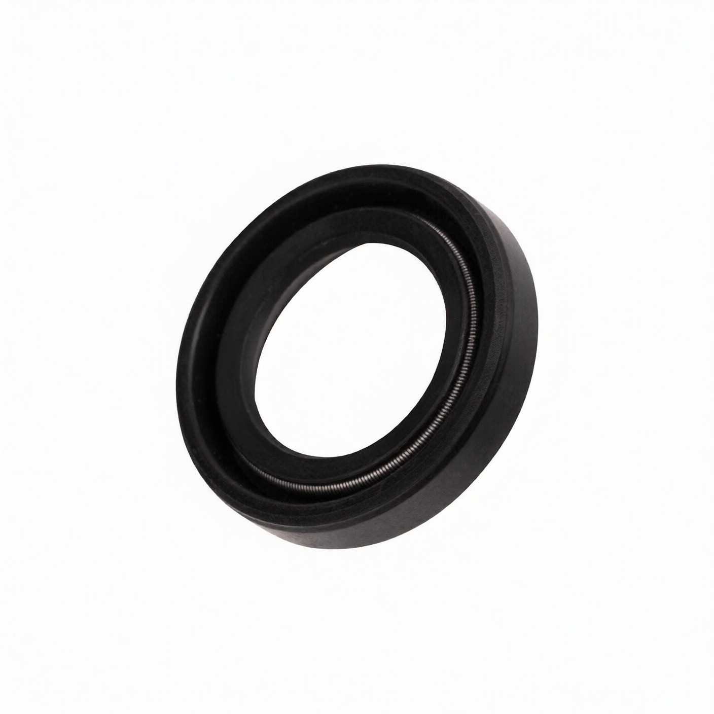 Fits Comet Pump Kit 5019.0065.00 Plunger Oil Seals, Made in Italy