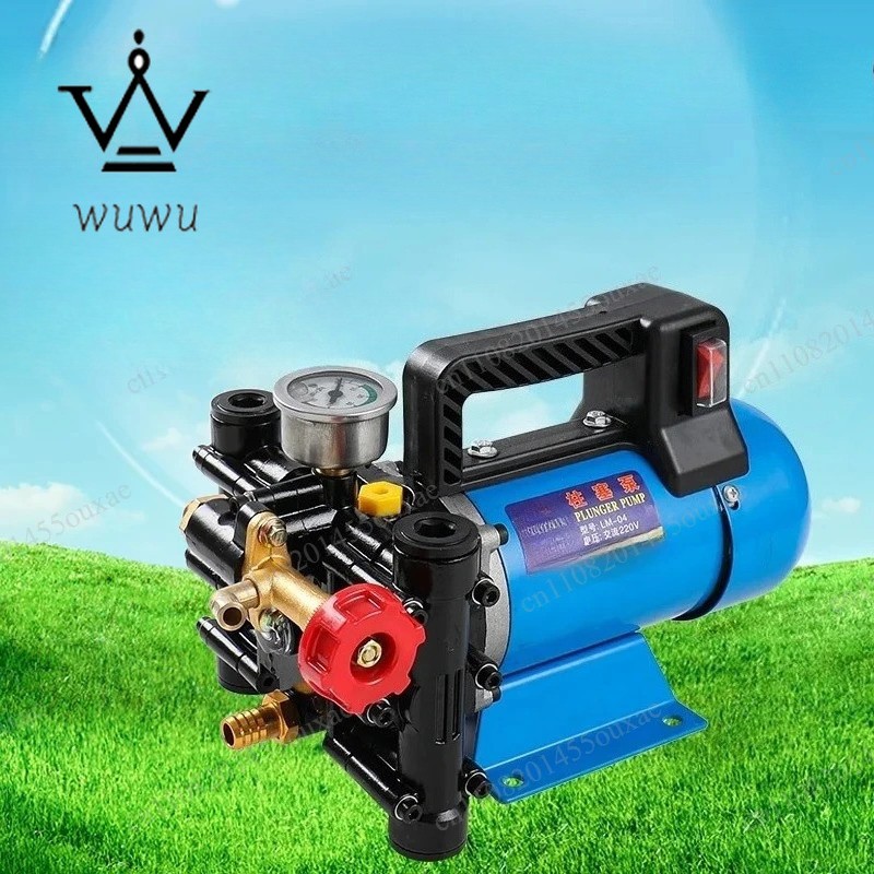 12V/24V/220V Double Cylinder Plunger Pump Agricultural High Pressure Pump