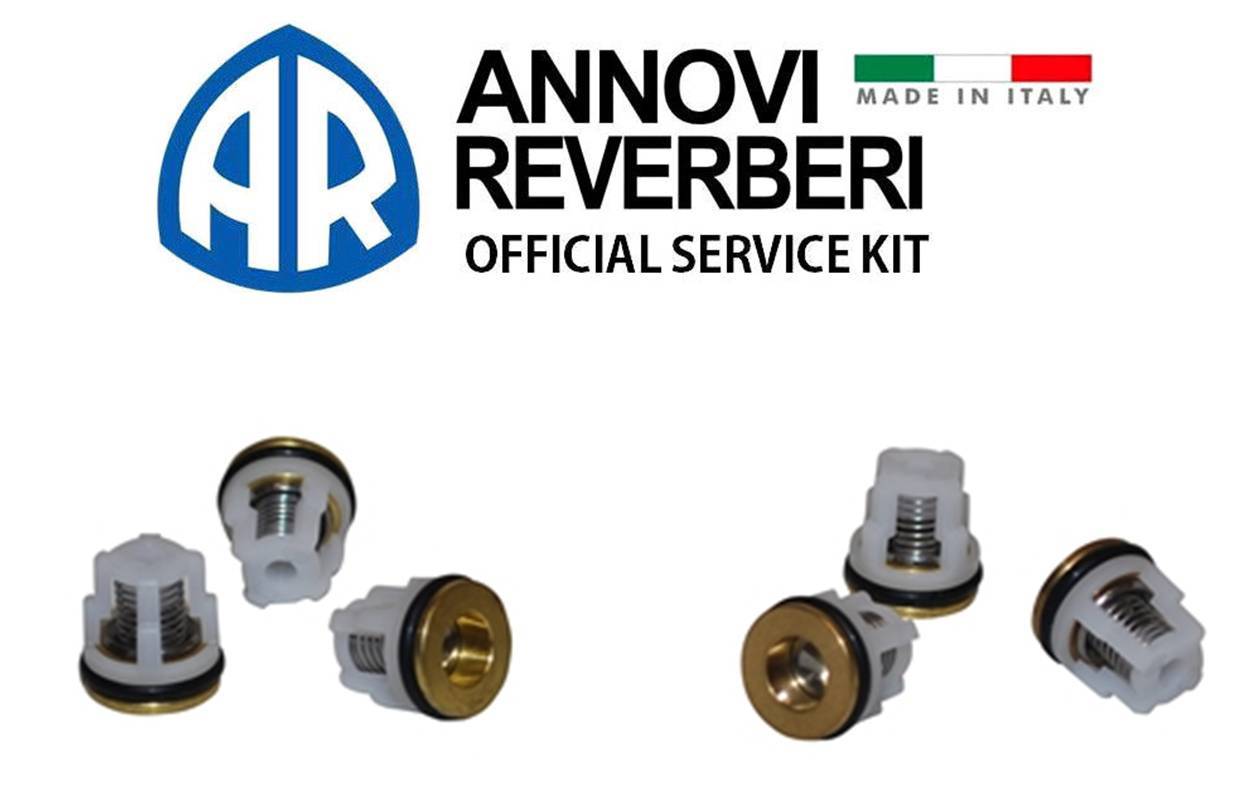 AR CHECK VALVE KIT 42123 for Annovi Reverberi RMW RMV SRMV Pressure Washer Pump