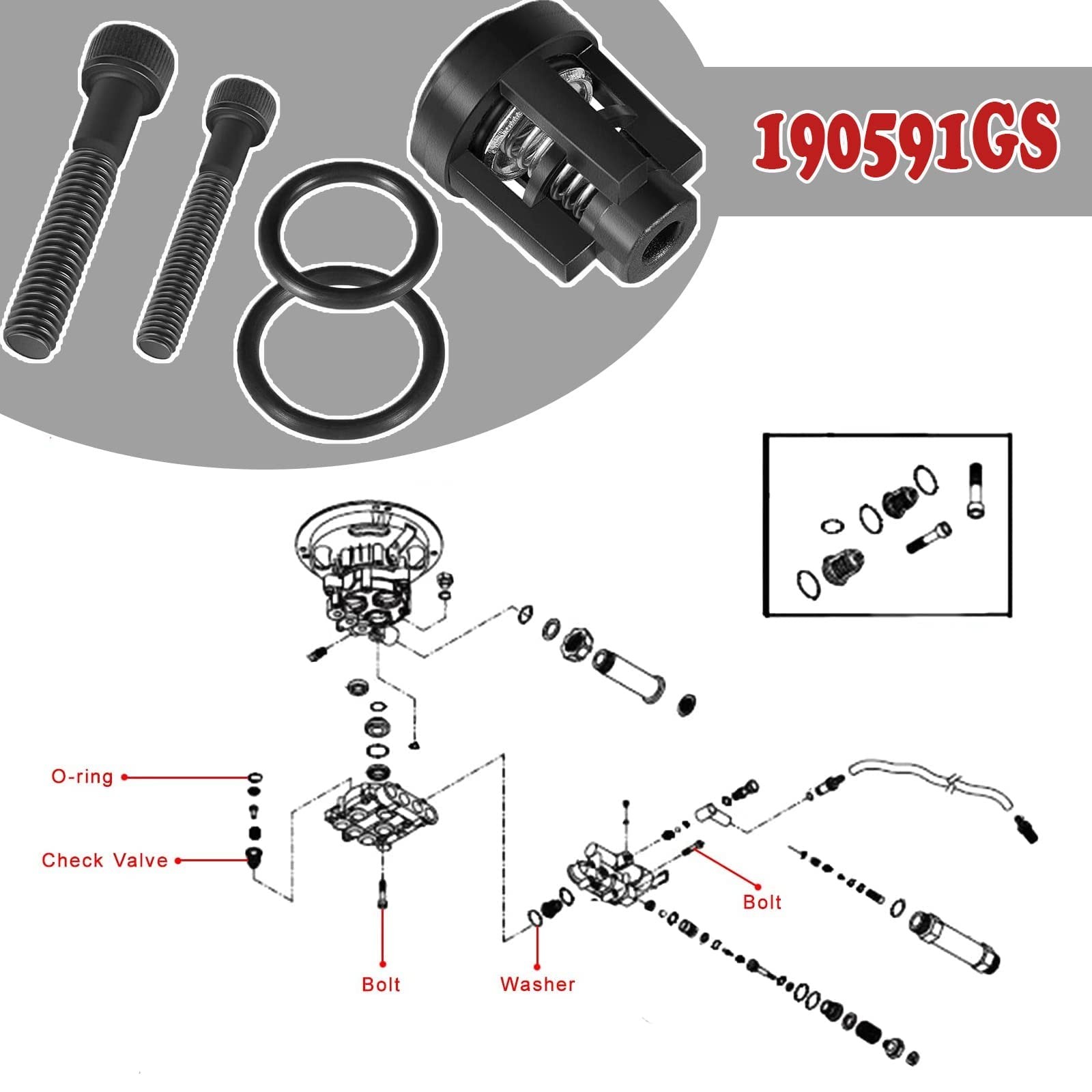 Pressure Washer Pump Valve Check Kit 190591GS Fits for Briggs Stratton Snapper