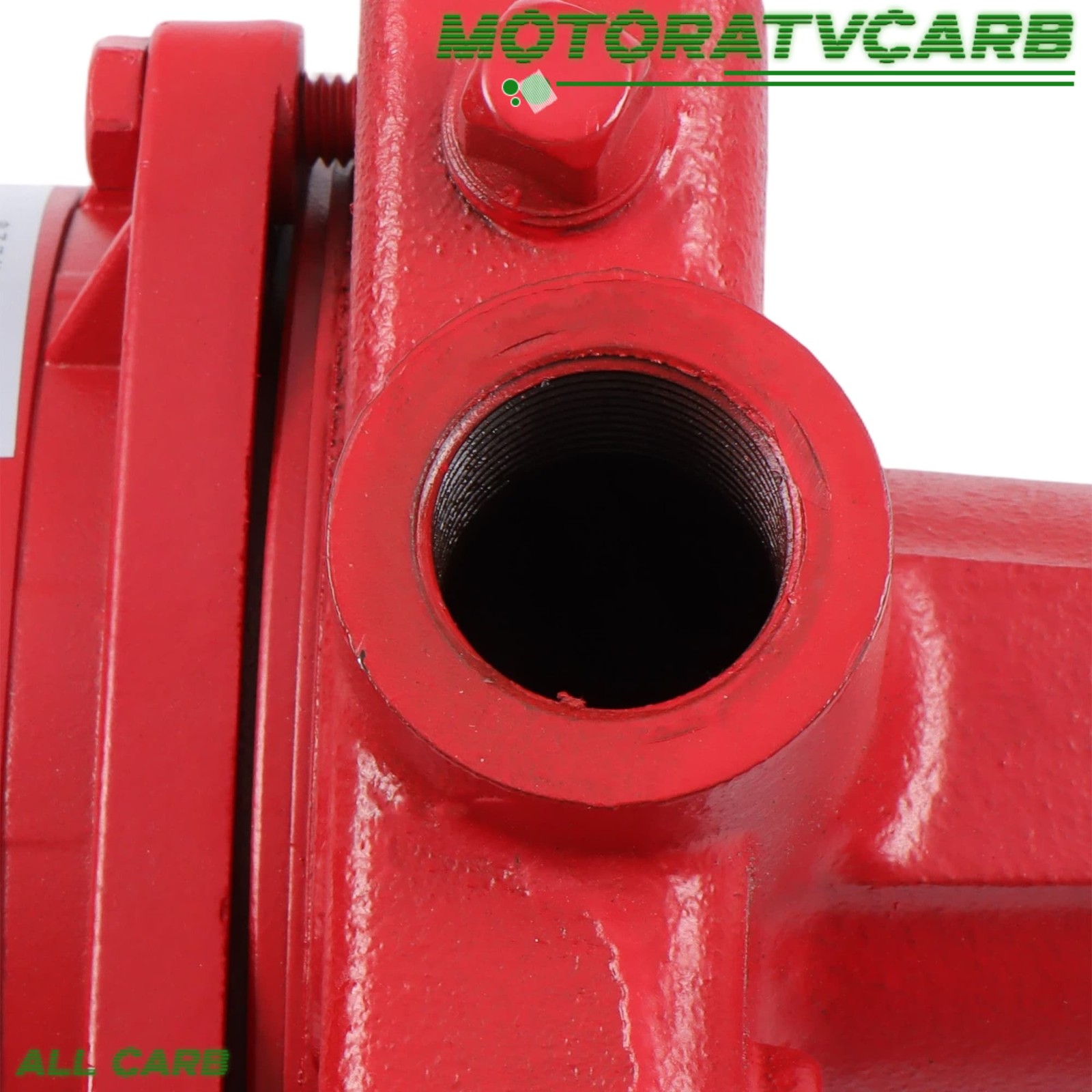 ALL-CARB 1HP 23GPM Dual Voltage 115/230 Volt Cast Iron Shallow Pump Red 602208