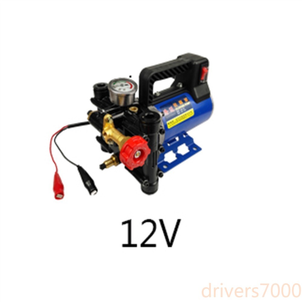 12V/24V/220V Plunger Agricultural Sprayer Electric High Pressure Pump Spraying