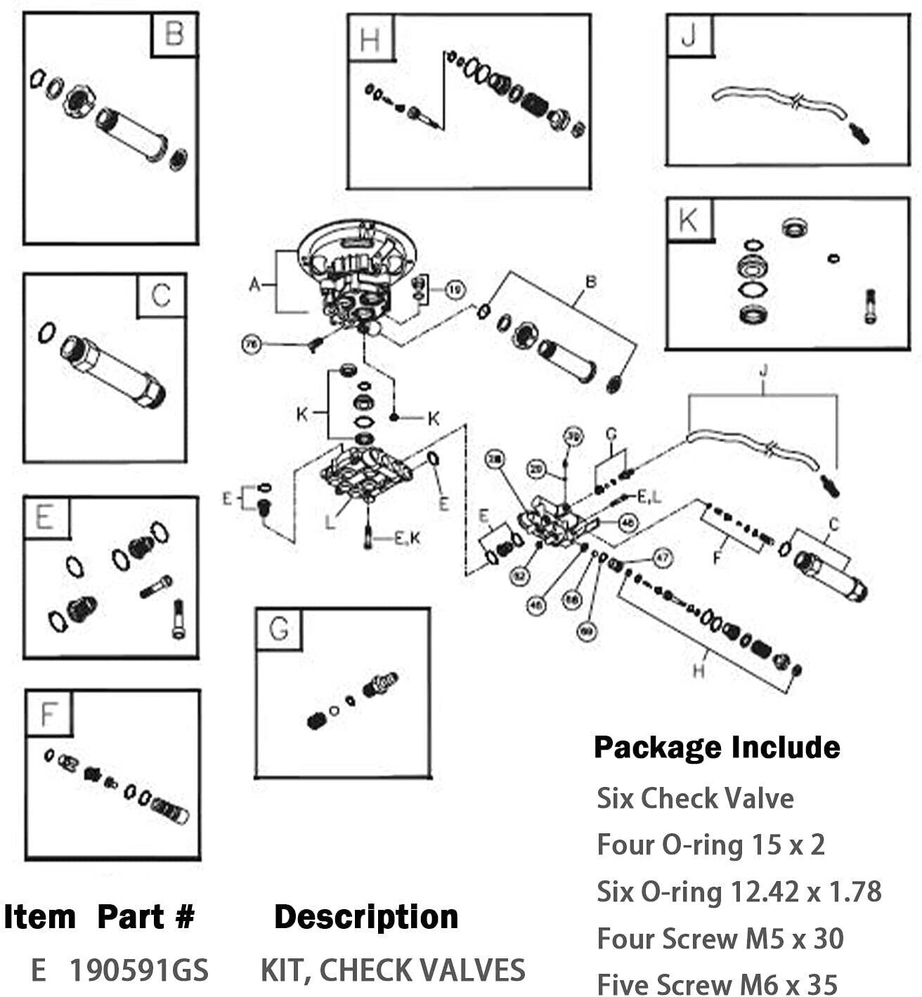 For Briggs and Stratton Craftsman Pressure Washer Pump Valve Check Kit 190591GS