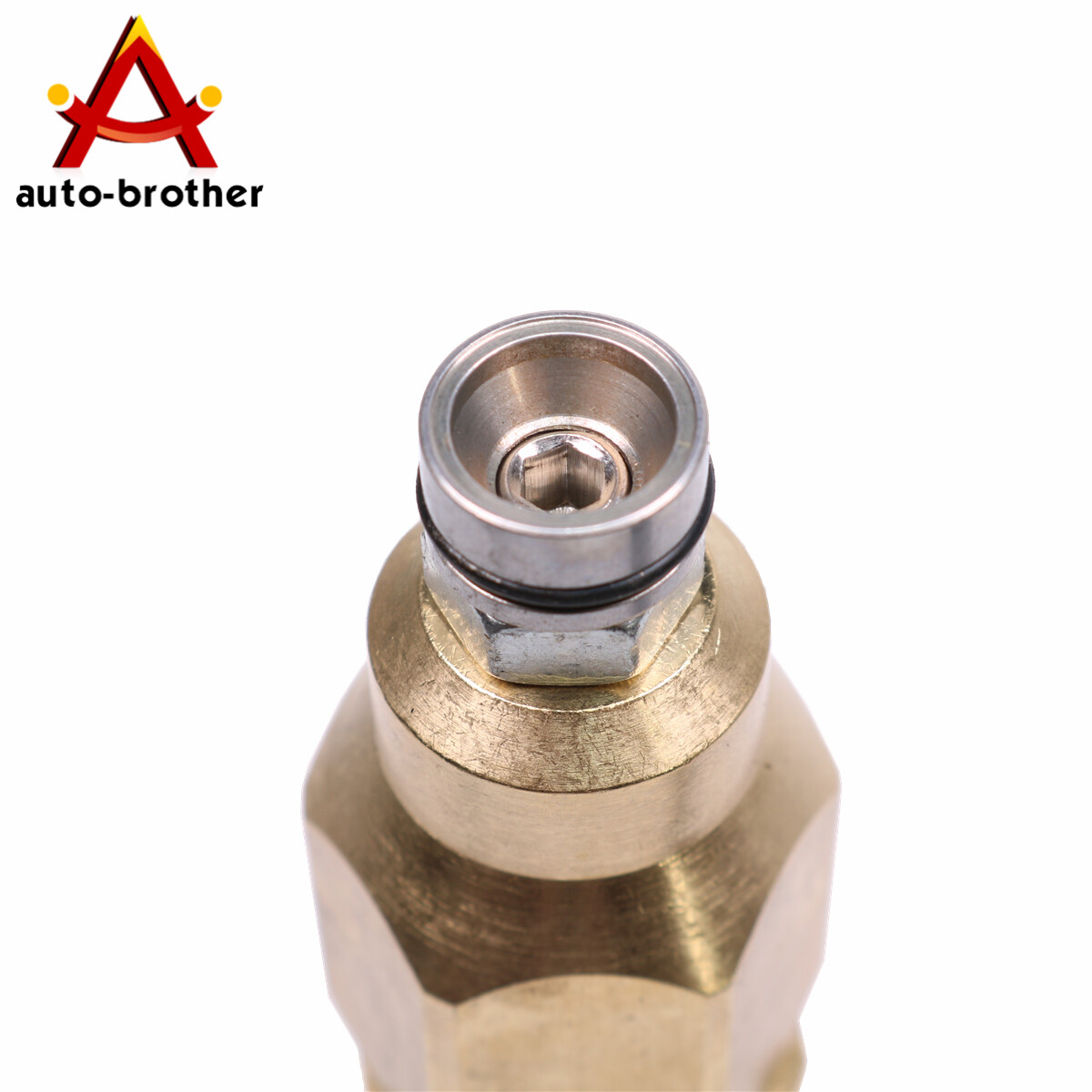 Unloader Valve 200348GS AR42118 Fit For RMW RMV SRMW Series Pumps Repls