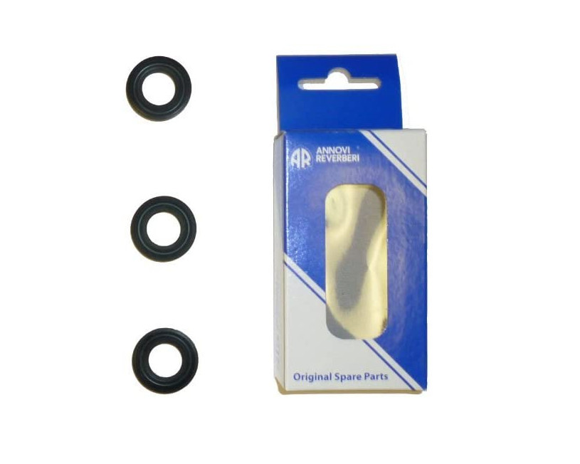 ANNOVI REVERBERI PUMP RMW PACKING KIT AR42122