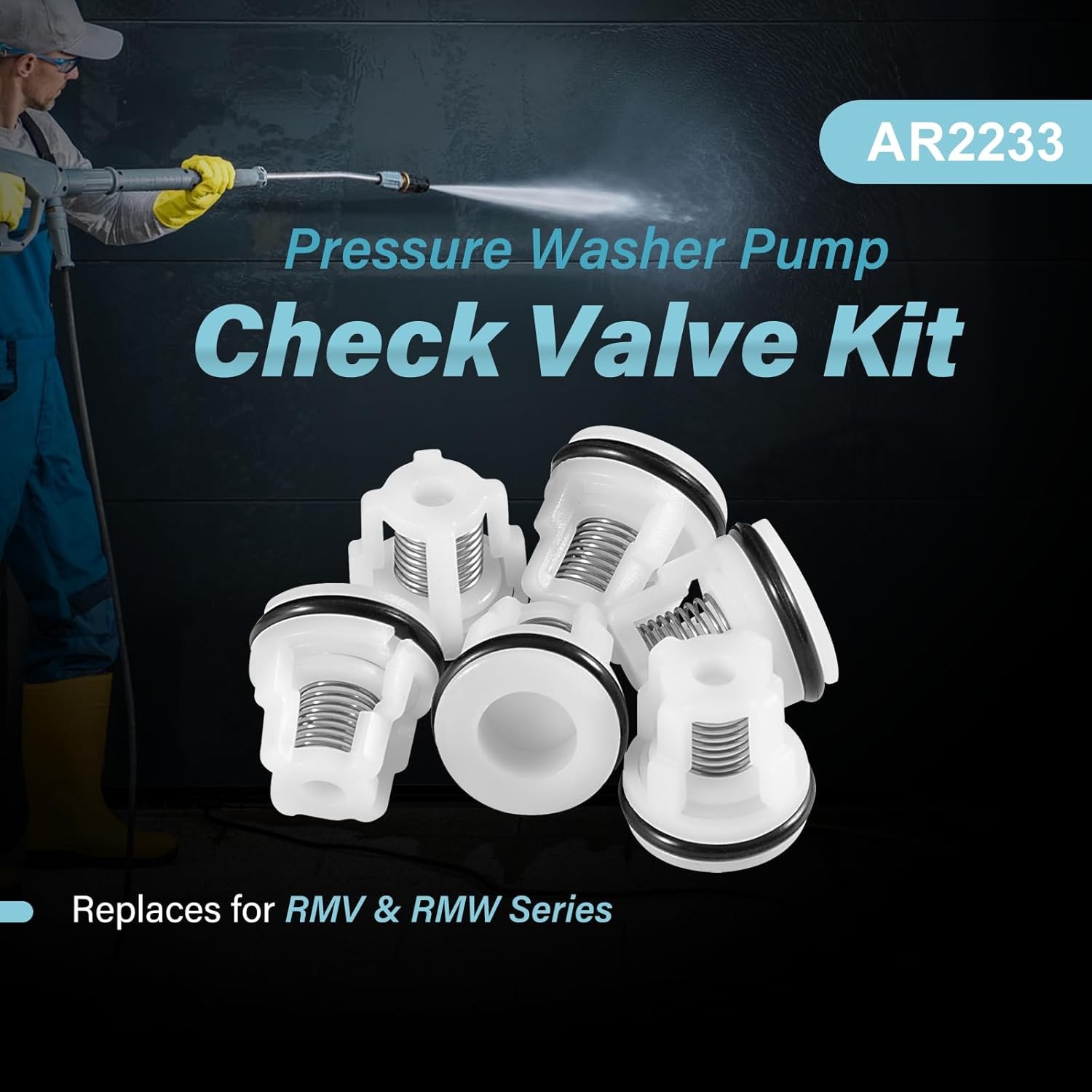 6pcs AR2233 Check Valve Kit for Annovi Reverberi RMV RMW Pressure Washer Pumps