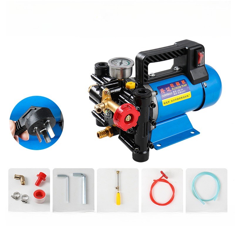 Dosing Pumps Agricultural Electric High Pressure Pump 12V/220V Spraying Watering