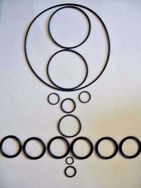Annovi Reverberi AR2446 O Ring Kit / BHA, BHP, BHS 130 and 150 / R&S 15.5-152AR
