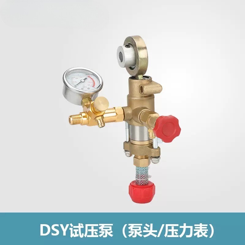 DSY Portable Electric Pressure Test Pump Pressure Gauge Copper Head Pump Body