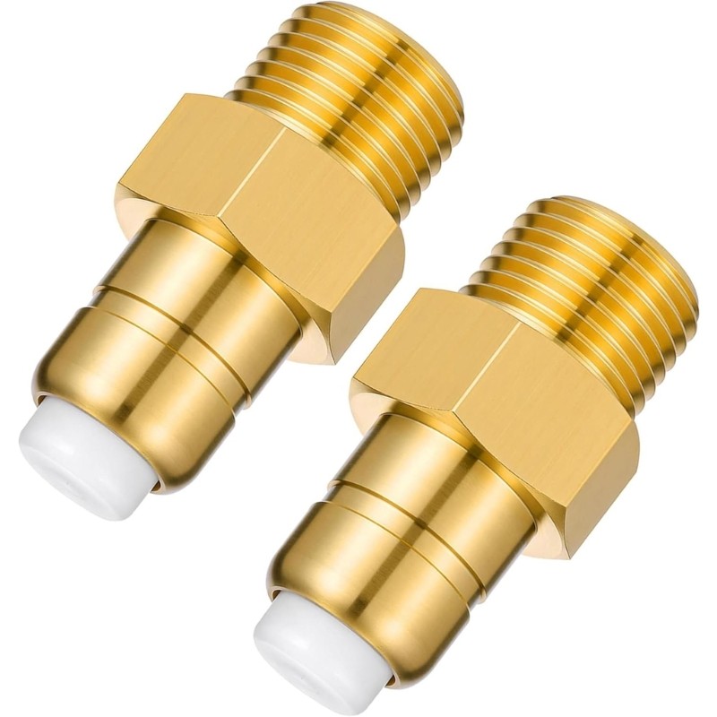 Standard 1/4 NPT Brass Thermals Safety Valves for Washer Pumps Protecting