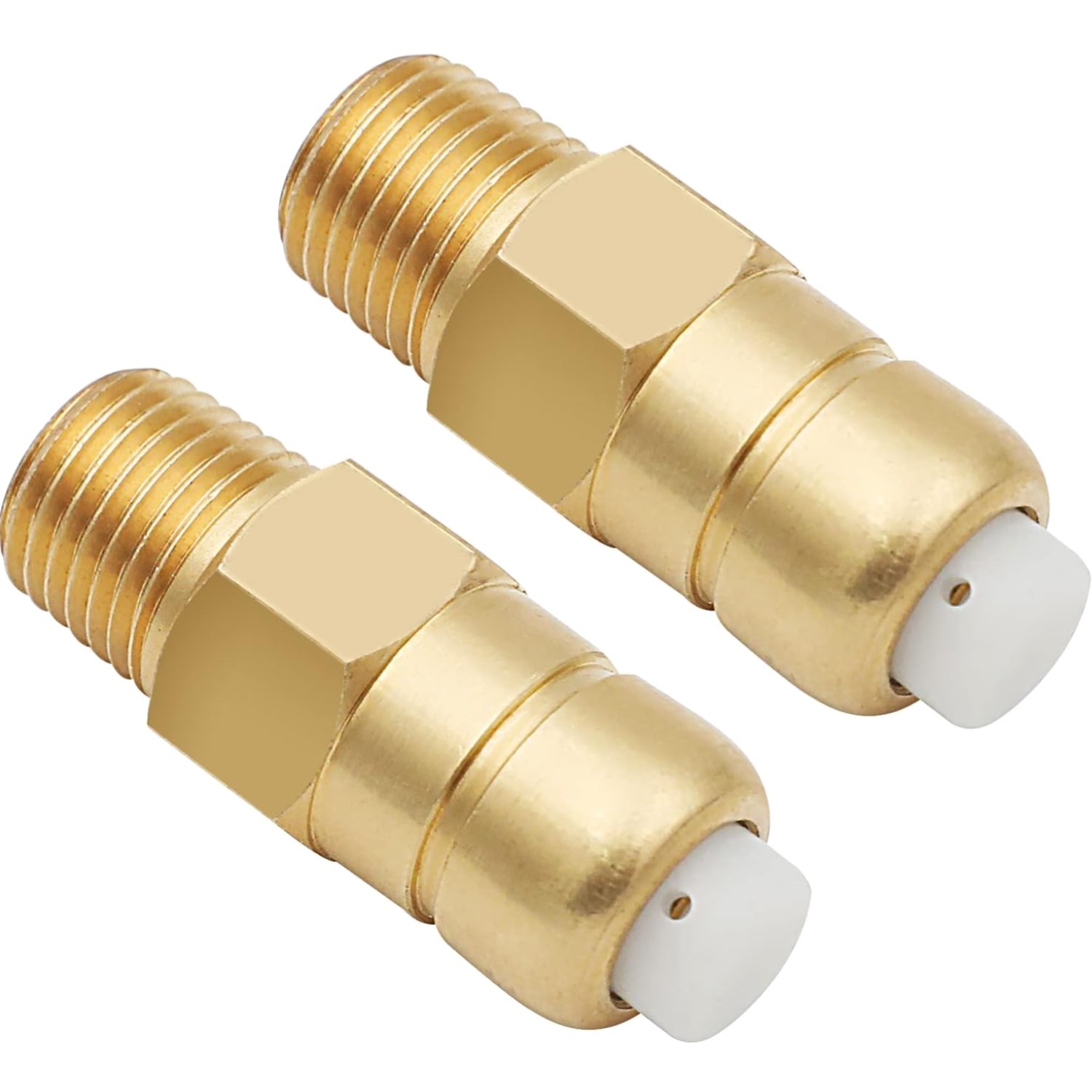 Thermal Relief Valve 1/4 Inch NPT 2 Pieces