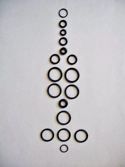 Annovi Reverberi AR42953 O Ring Kit / R&S 4-14AR3 / Buna N & Viton Material