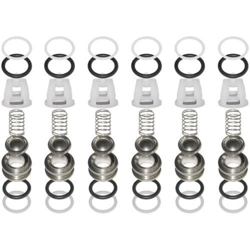 Original Comet 5025.0021.00 VALVE KIT for TW Series Pumps (5025002100) 6 Valves