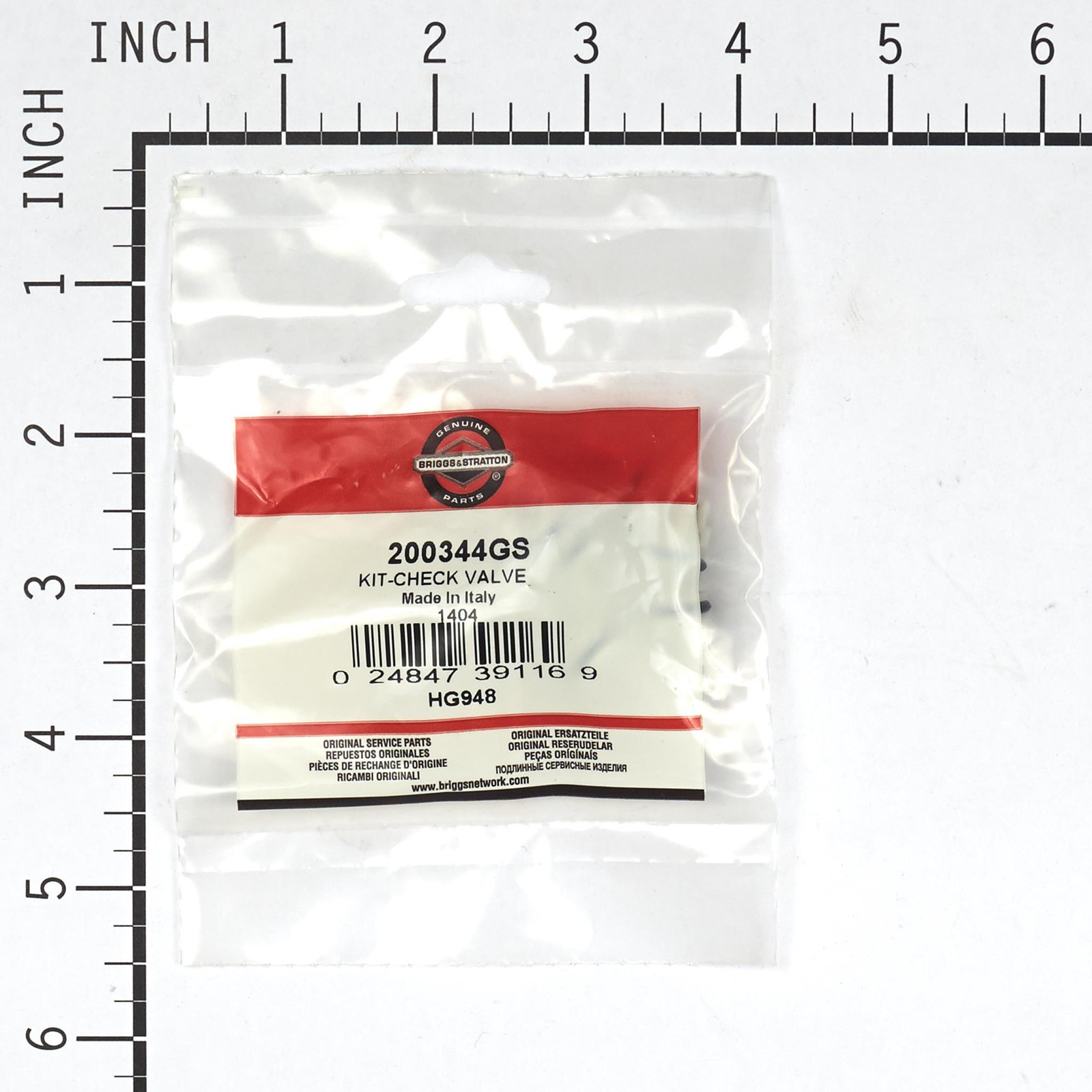 Briggs & Stratton OEM 200344GS Kit-Check Valve