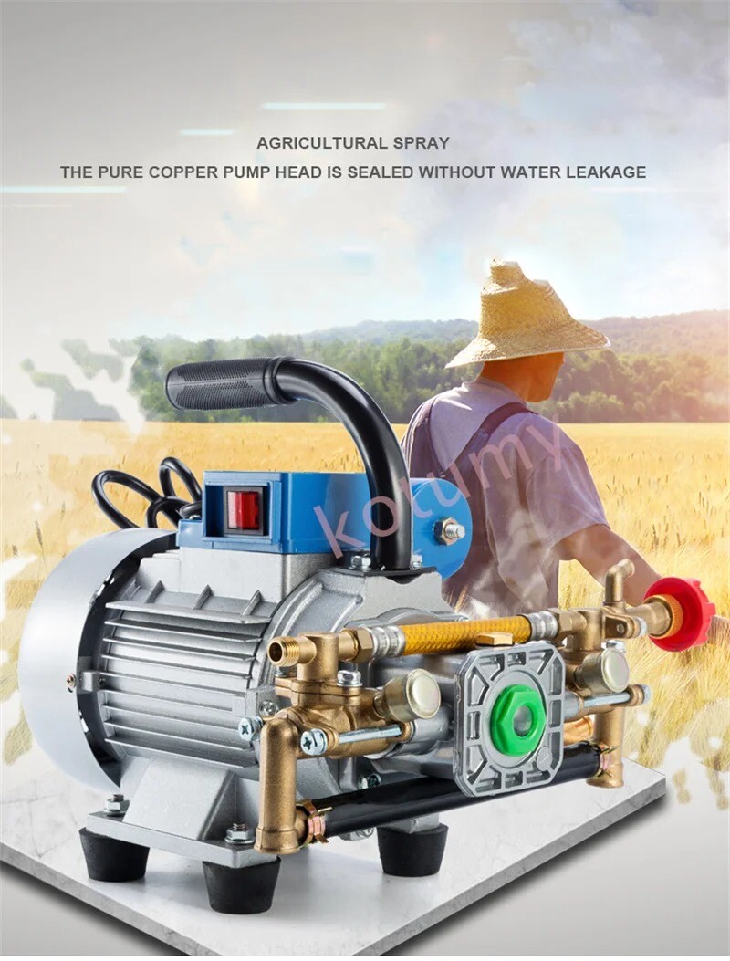 220V Electric Coil Sprayer High Pressure Agricultural Plunger Pump Irrigation
