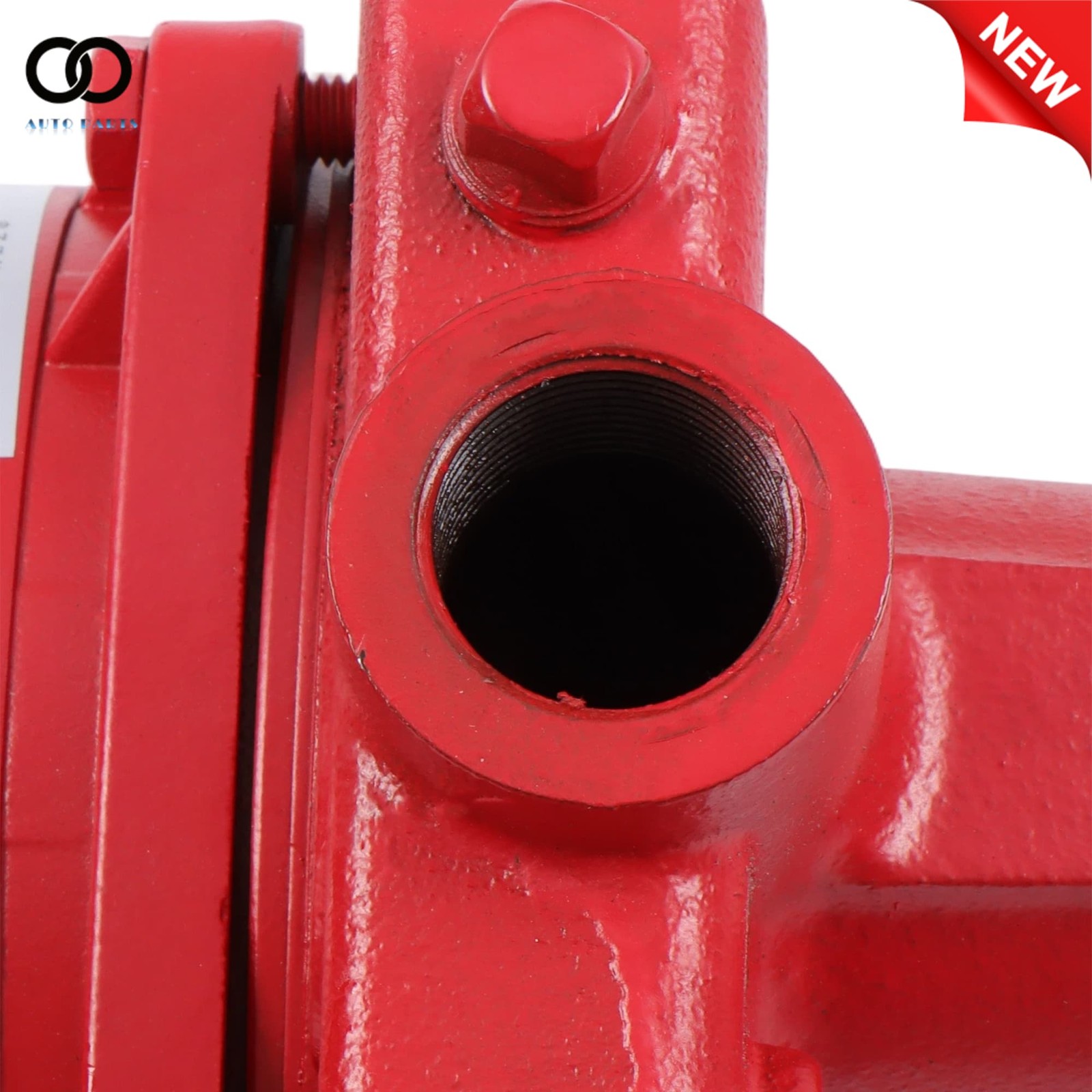 Red 1 HP 23 GPM Dual Voltage 115/230 Volt Cast Iron Shallow Well Jet Pump 602208