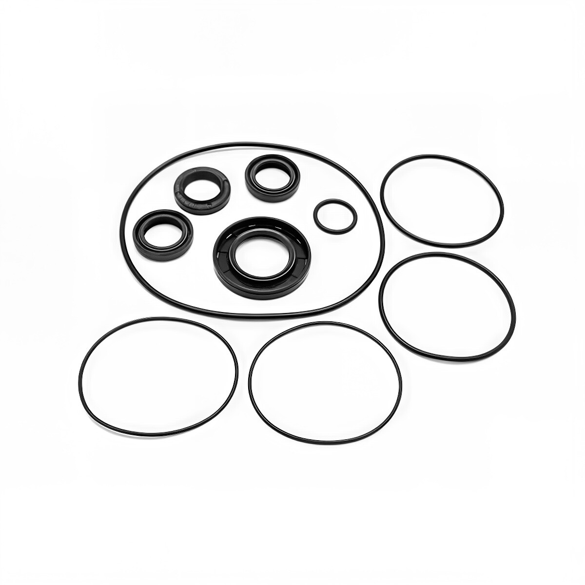 Annovi Reverberi Oil Seals Kit for XW Series Pumps, AR2781