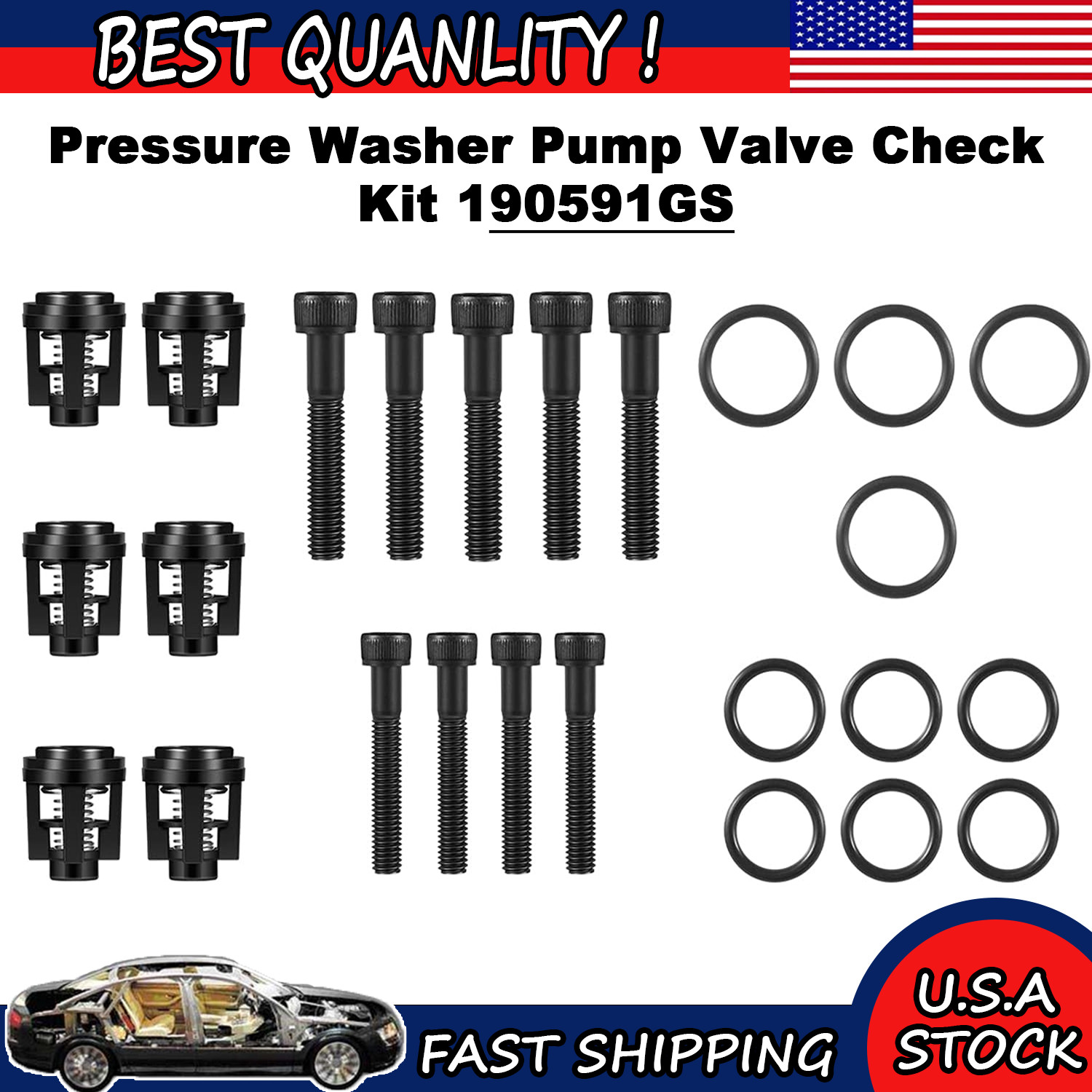 Pressure Washer Pump Valve Check Kit 190591GS for Briggs and Stratton Craftsman