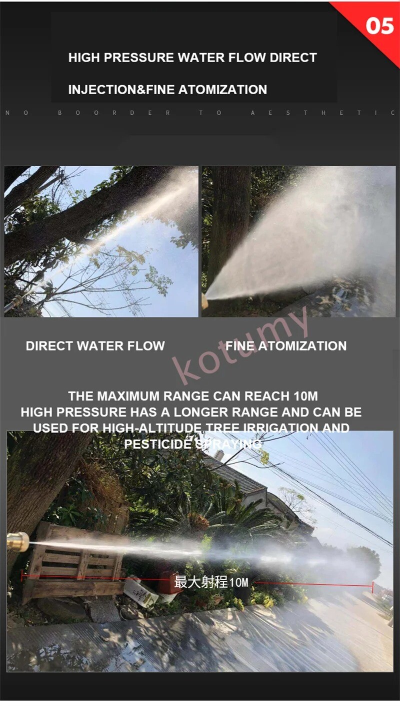 220V Electric Coil Sprayer High Pressure Agricultural Plunger Pump Irrigation