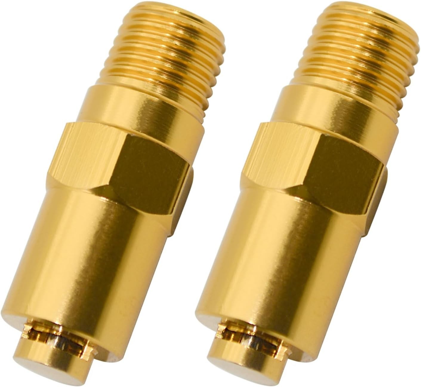 Durable Brass 2-Pack Thermal Relief Valve for Gas Pressure Washers, 1/4 Inch NPT