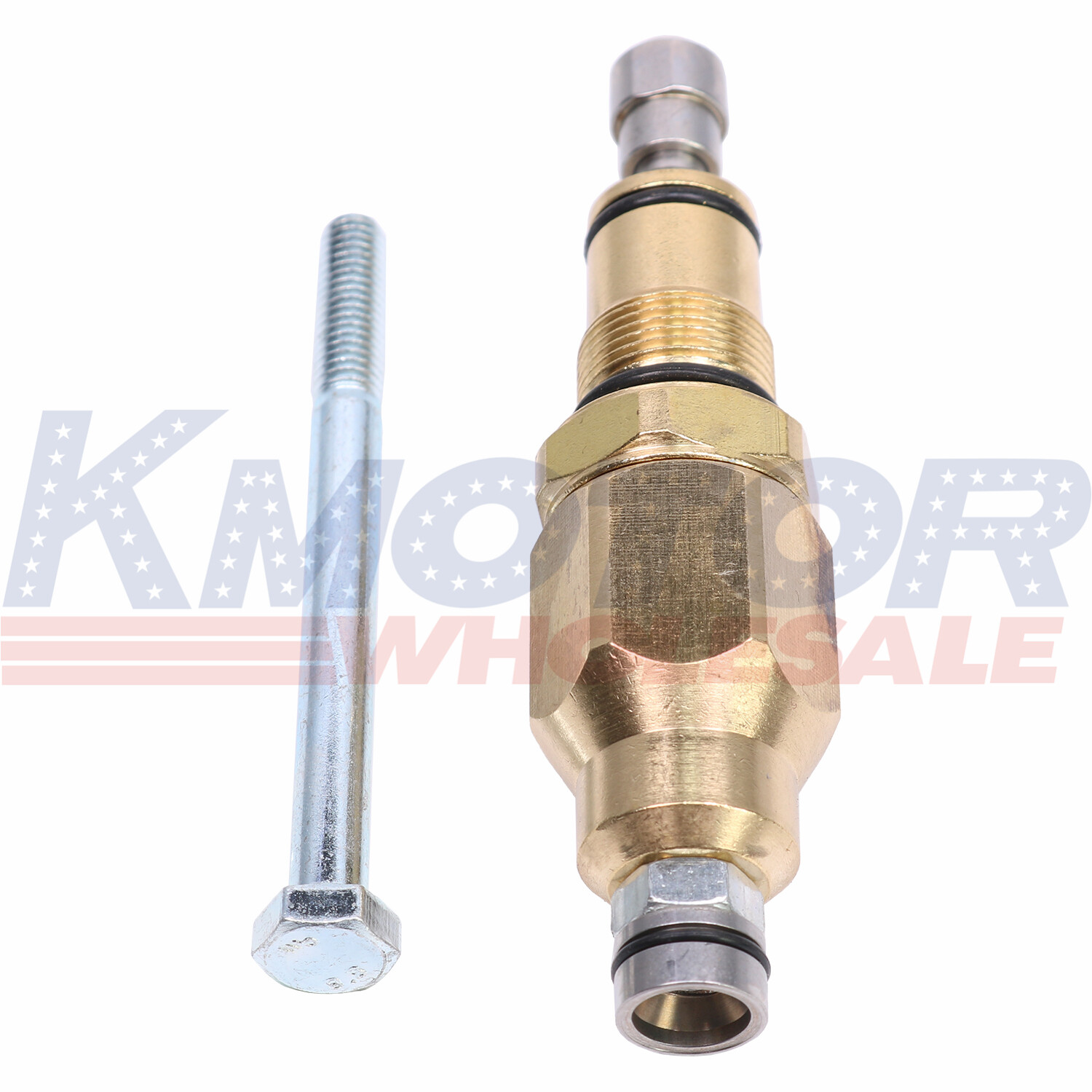 Unloader Valve 200348GS Fit For RMW RMV SRMW Series Pumps Repls AR42118 315747GS