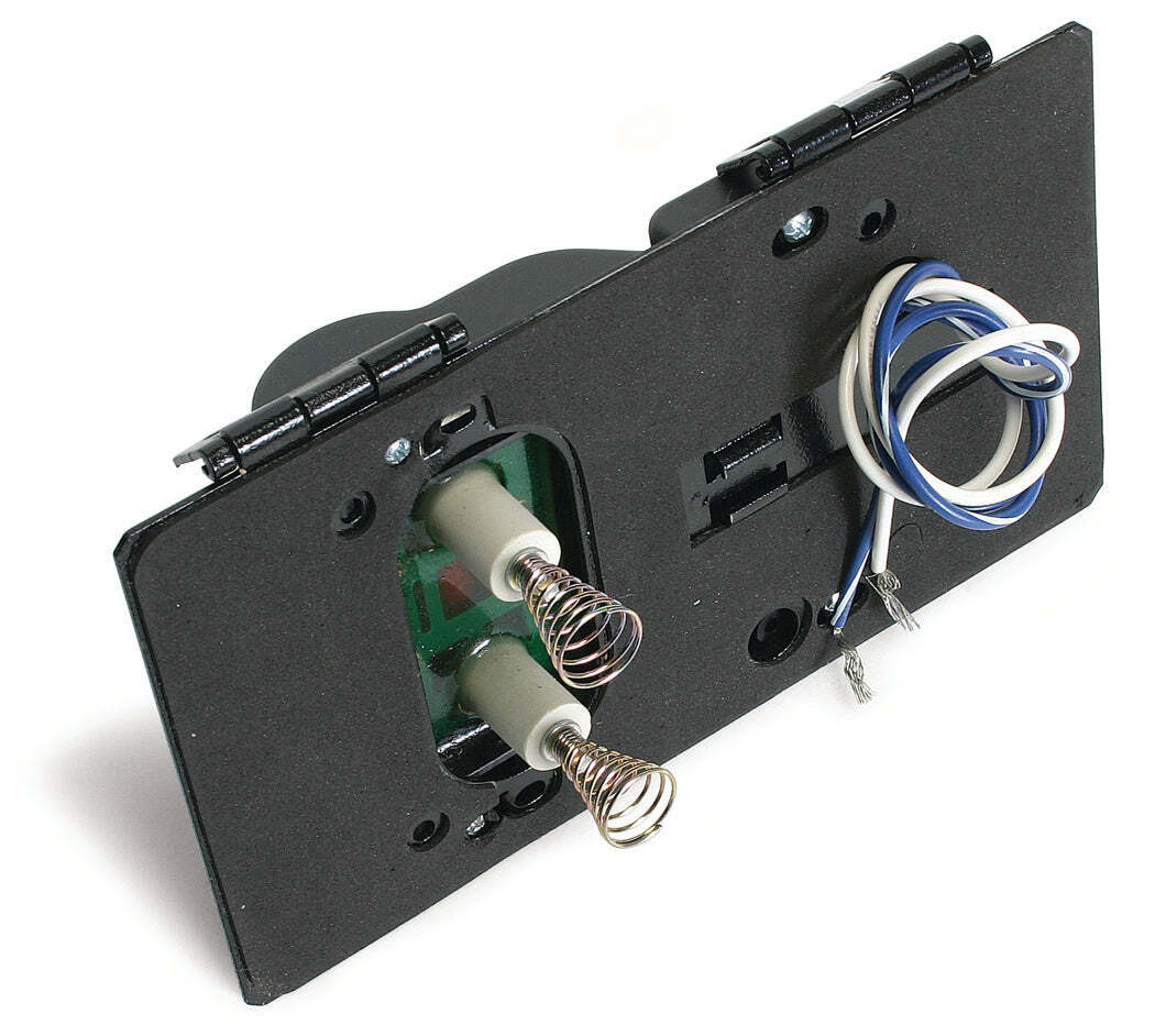 Wayne Igniter Assembly 101295-SERE, 120V for EH, EHA & EHASR Burners