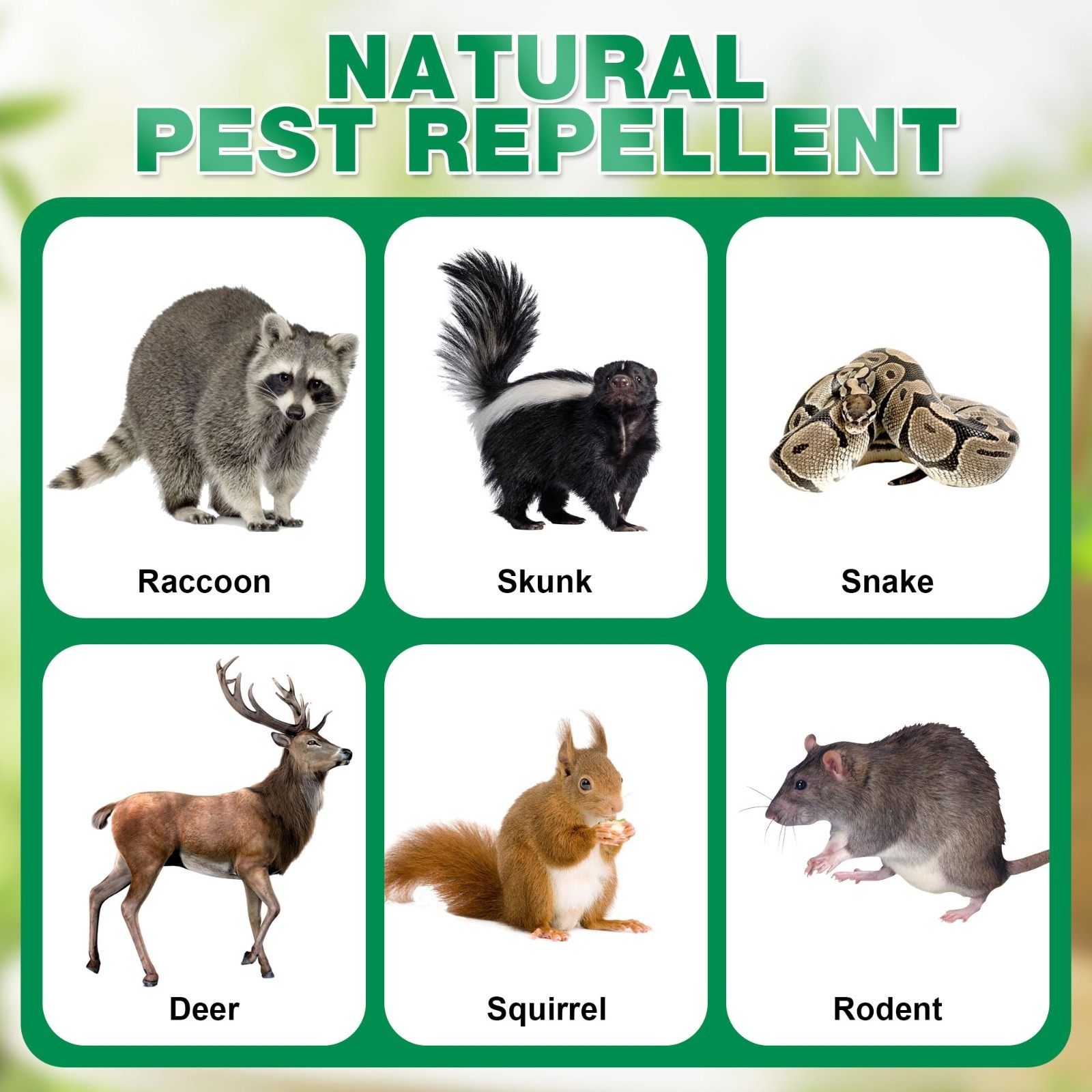 24 Pack Natural Skunk & Raccoon Repellent Pouches for Yard & Garden | Safe & Lon