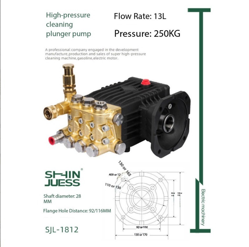 220V 3.3KW 3.9KW 4.5KW Stop The High-pressure Self-service Car Wash Pump