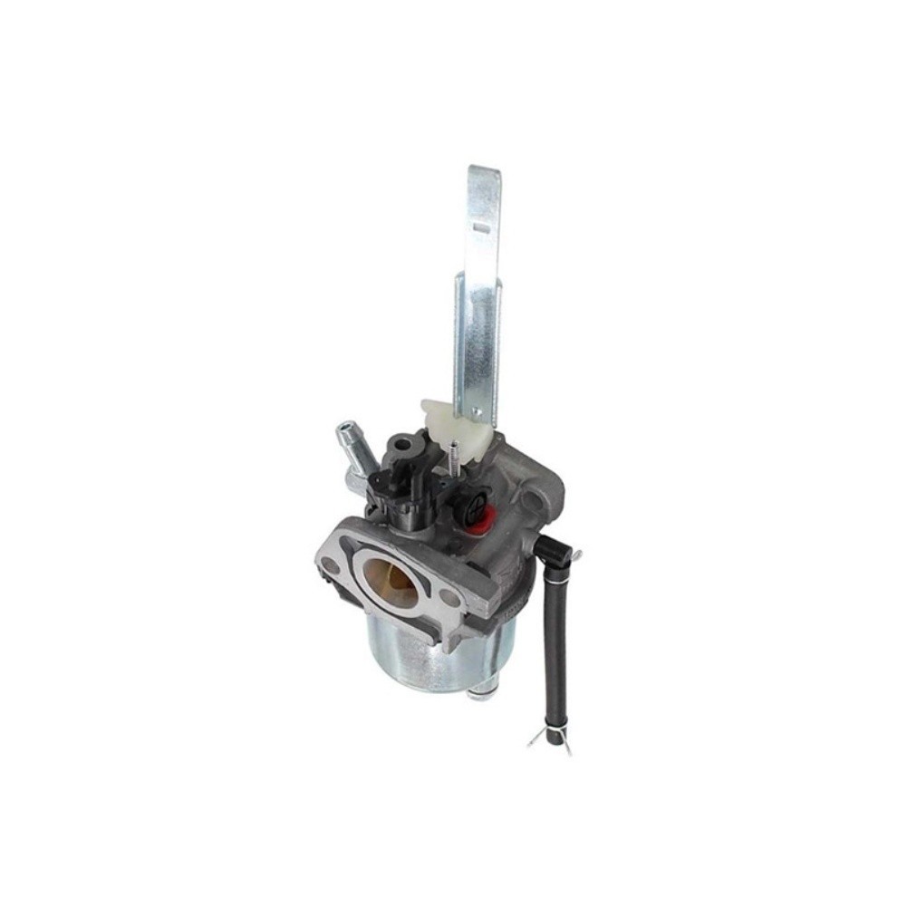 Replacement 208cc Snow Blower Carburetor with All Fittings and Instructions