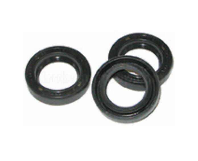 Fits Comet Pump Kit 5019.0065.00 Plunger Oil Seals, Made in Italy