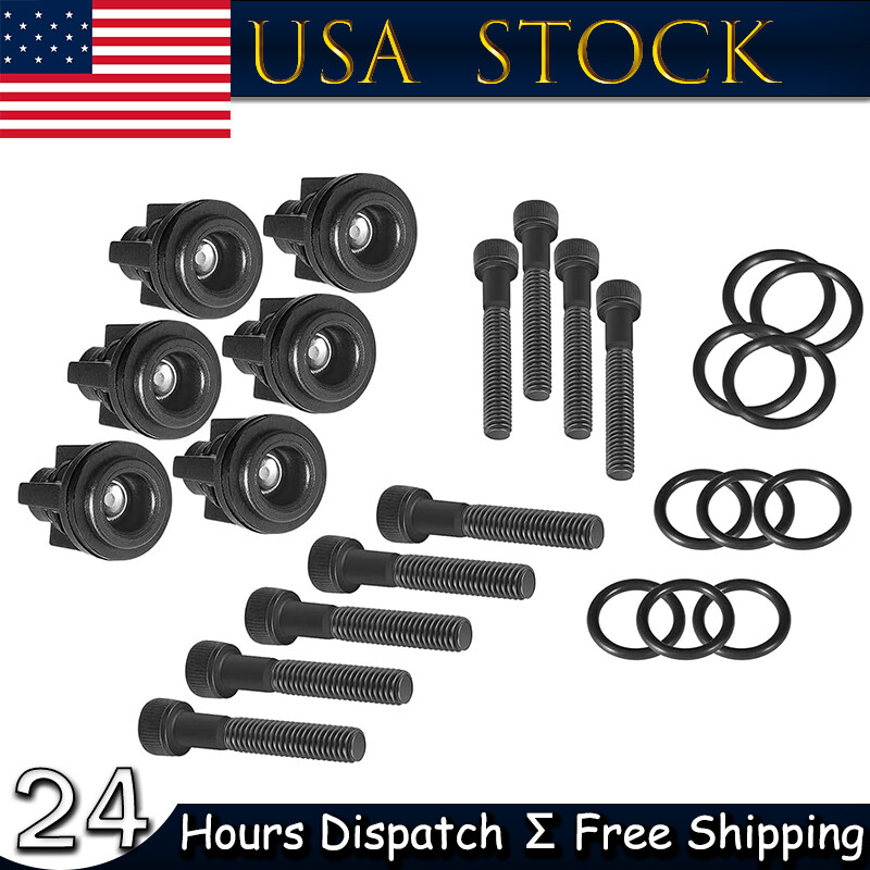 Pressure Washer Pump Valve Check Kit for Briggs and Stratton Craftsman 190591GS