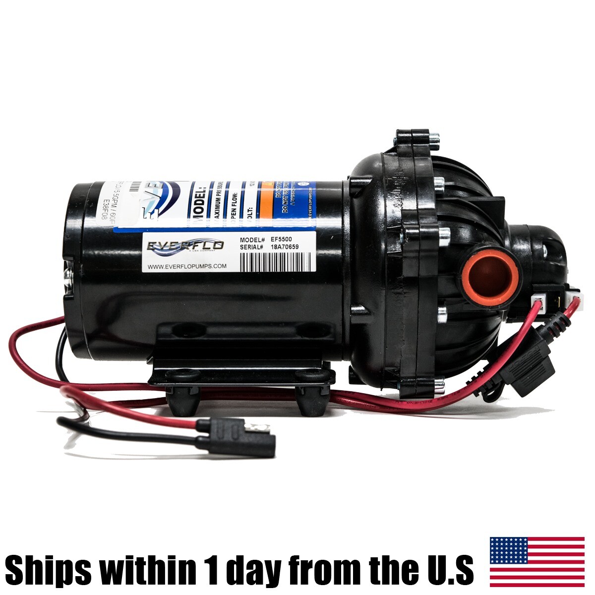 EVERFLO 12 Volt 5.5 GPM Diaphragm Water Pump 60 psi Lawn Sprayers, Boats, RV’s