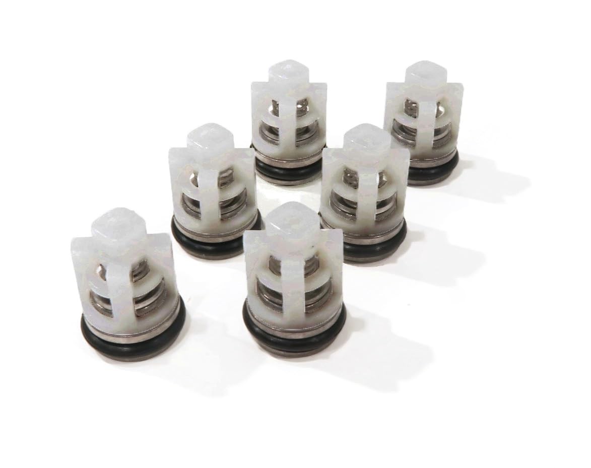 The ROP Shop Check Valve Repair Kit for Himore PW28/2.4B, PW24/2.3L Pressure