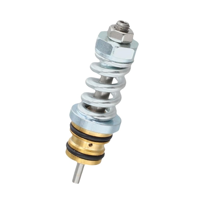 Stainless Steel Brass Unloader Valves Replace 308418003 Unloader Valves Assembly