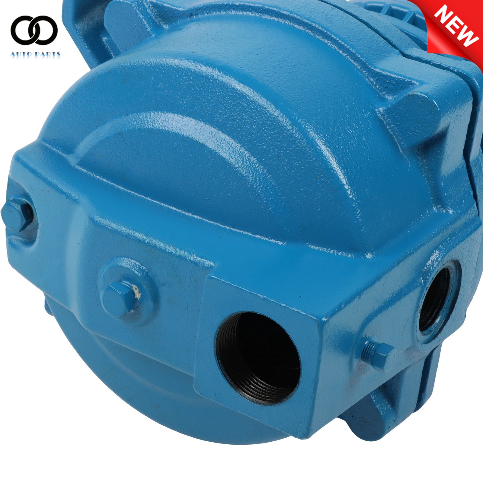 J5S 115/230V 1/2 HP Shallow Water Well Jet Pump 60 Hz Cast Iron 3450 RPM