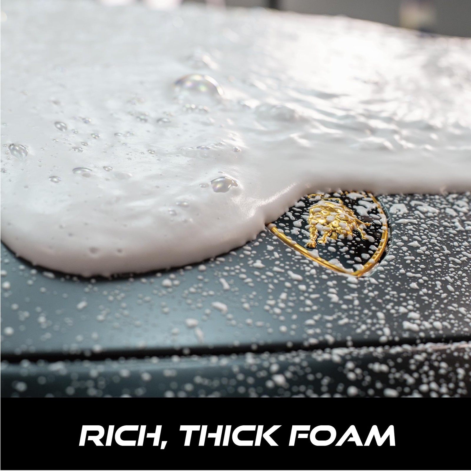 Professional Foam Cannon for Car, Adjustable Spray Nozzle, 1.1 Liter Soap Can…