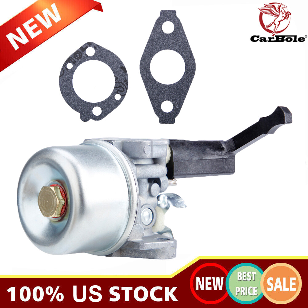 Carburetor with Mounting Gaskets Kit for Briggs & Stratton 696065 697422 215369