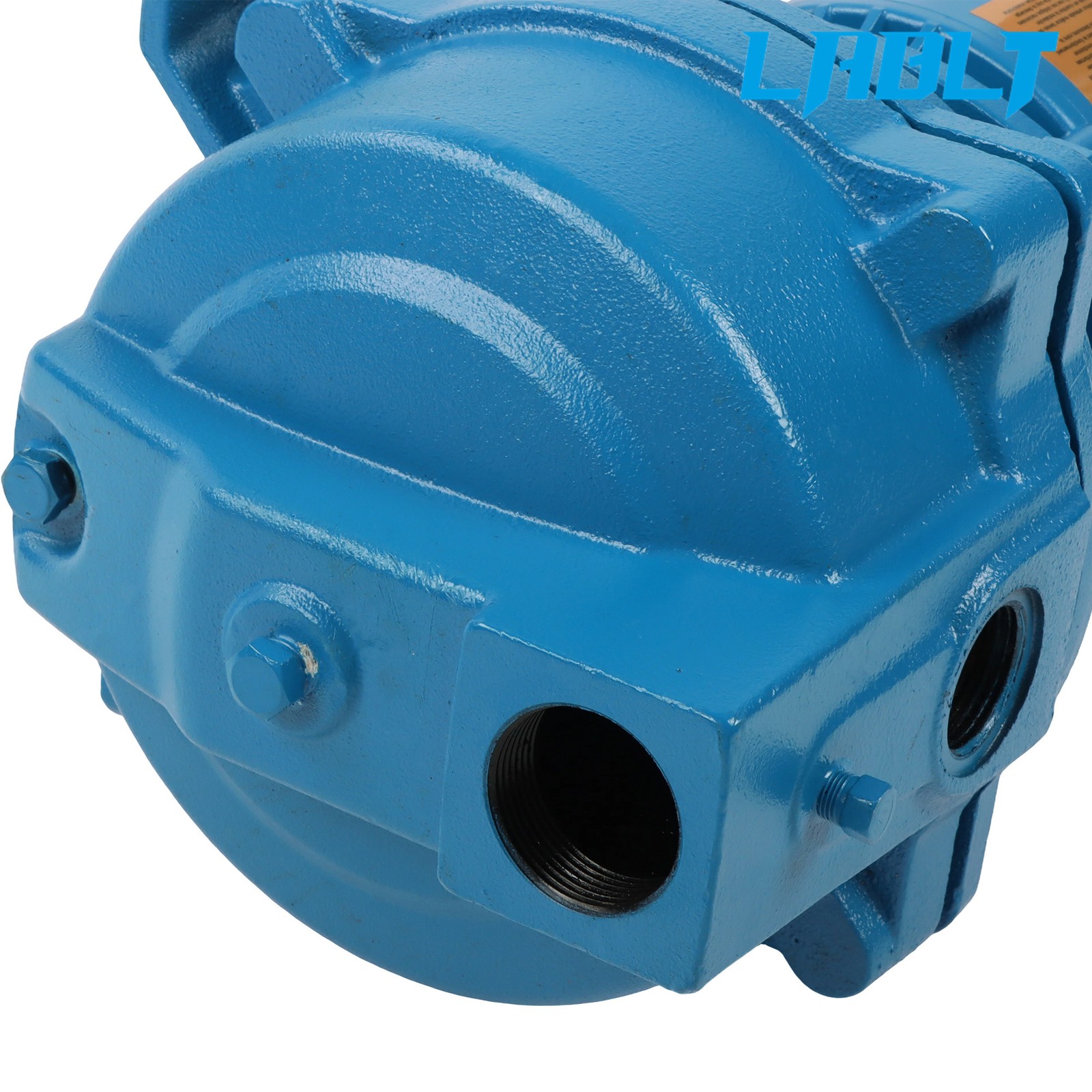 LABLT Cast Iron J5S Shallow Well Jet Pump 1/2 HP 16.5 GPM 115/230V Dual Voltage
