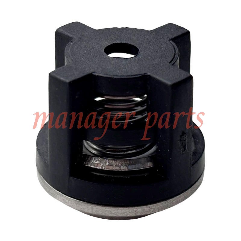 AR1828 Check Valve Kit Fits RRV, RKV, XRCV Models 18mm