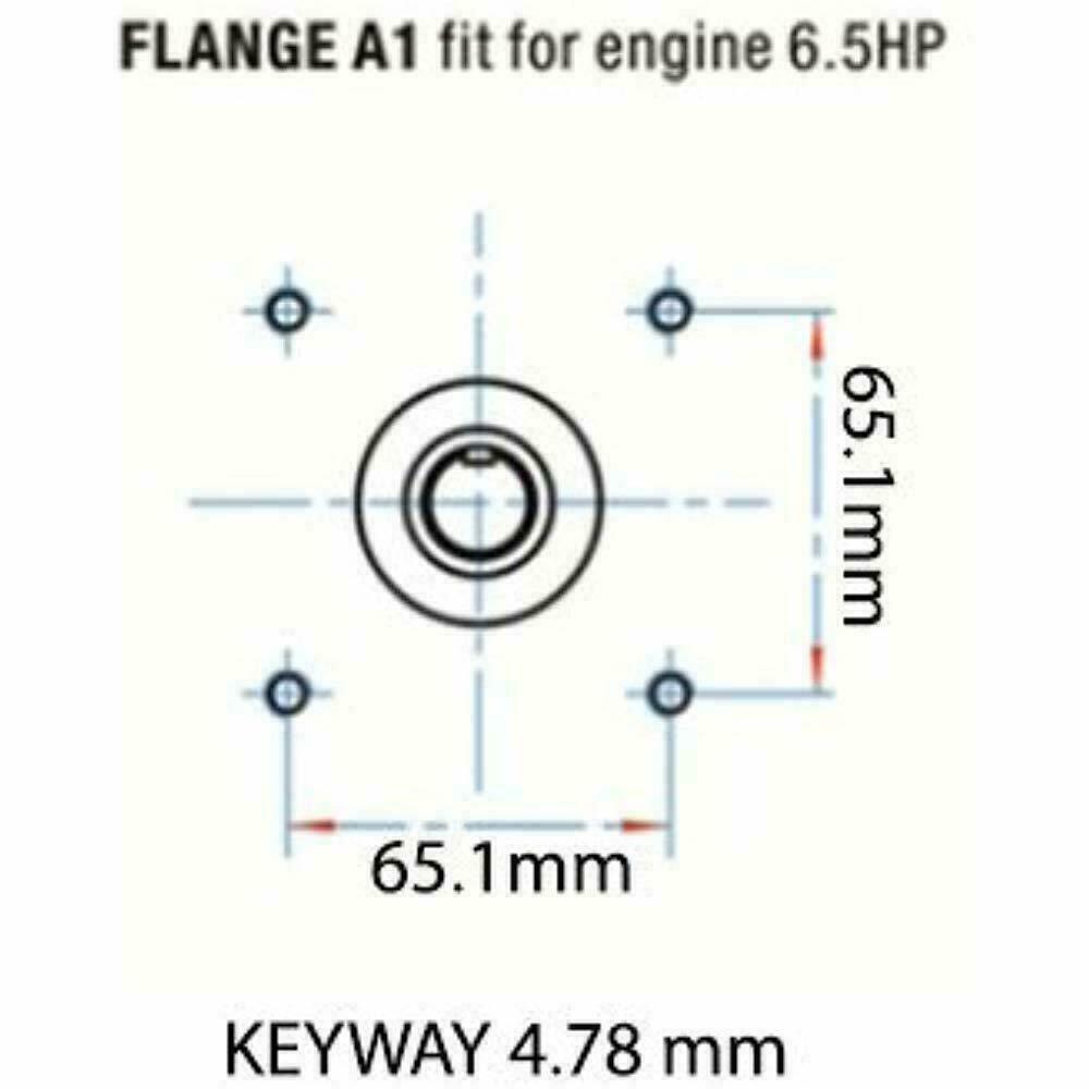 Triplex High Pressure Washer Pump fits Honda GX200 Dewalt DH3028 9HP Vanguard