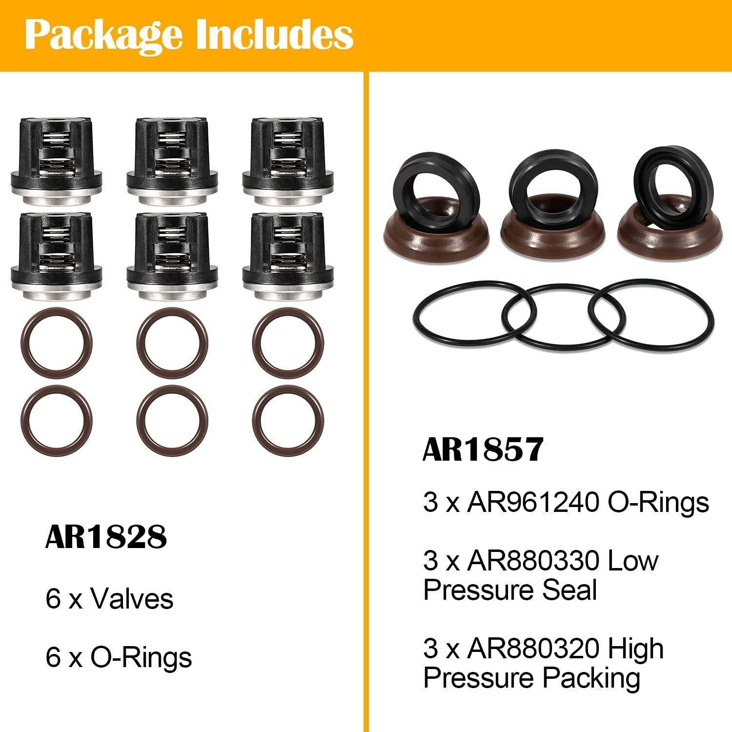 AR1828 Check Valve + AR1857 Packing Kit For Annovi Reverberi 18mm XR RK RKA RKV