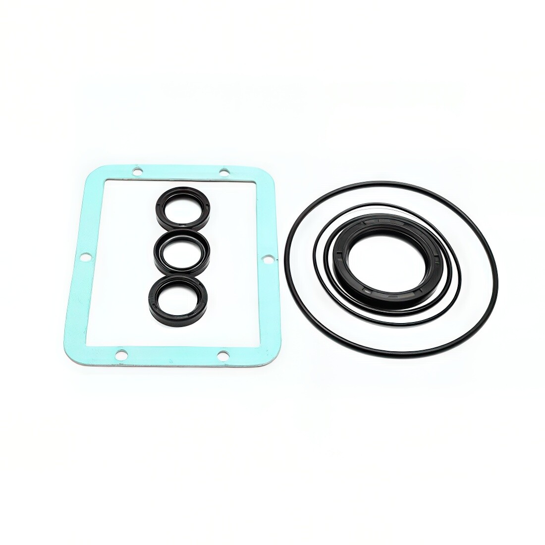AR AR1856 Oil Seal Kit RKA RKV XRA XRV XRC Hollow-Shaft Pumps 7-Piece Set