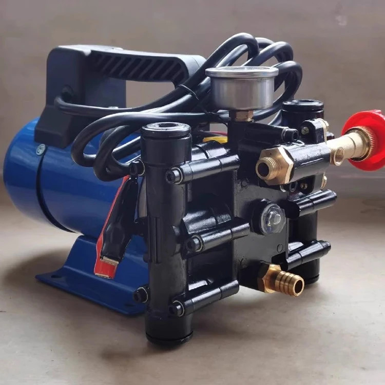 Dosing Pumps Agricultural Electric High Pressure Pump 12V/220V Spraying Watering