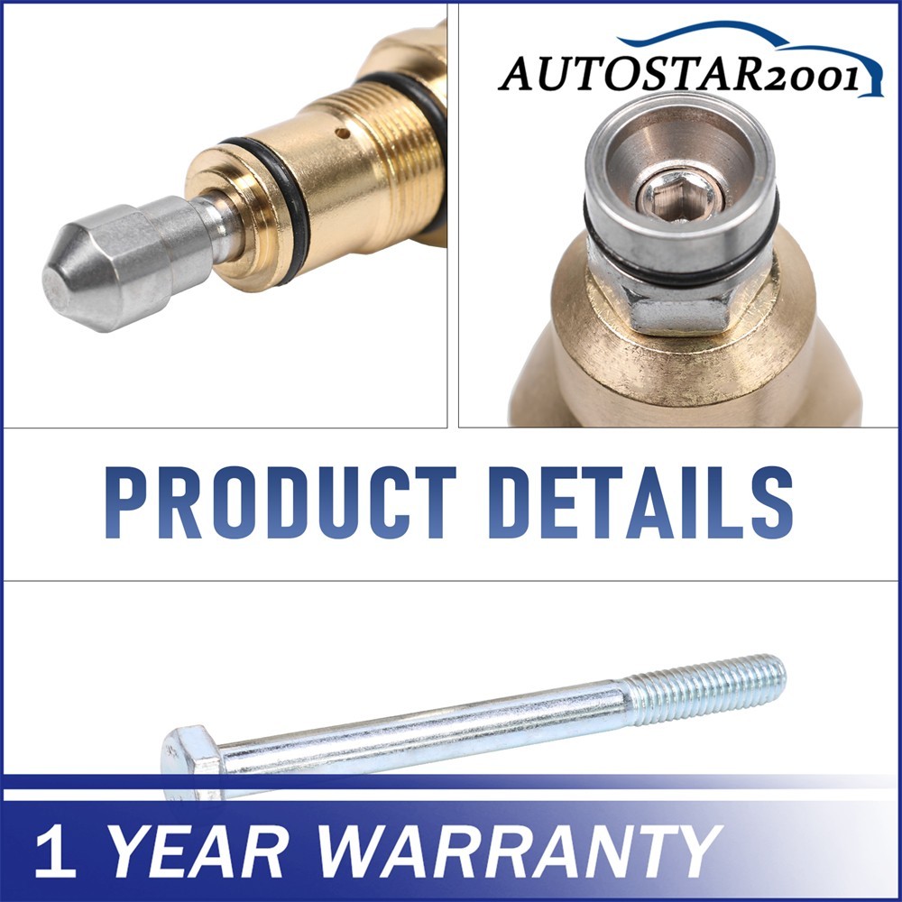 200348GS Unloader Valve For RMW RMV SRMW Series Pumps AR42118 NEW