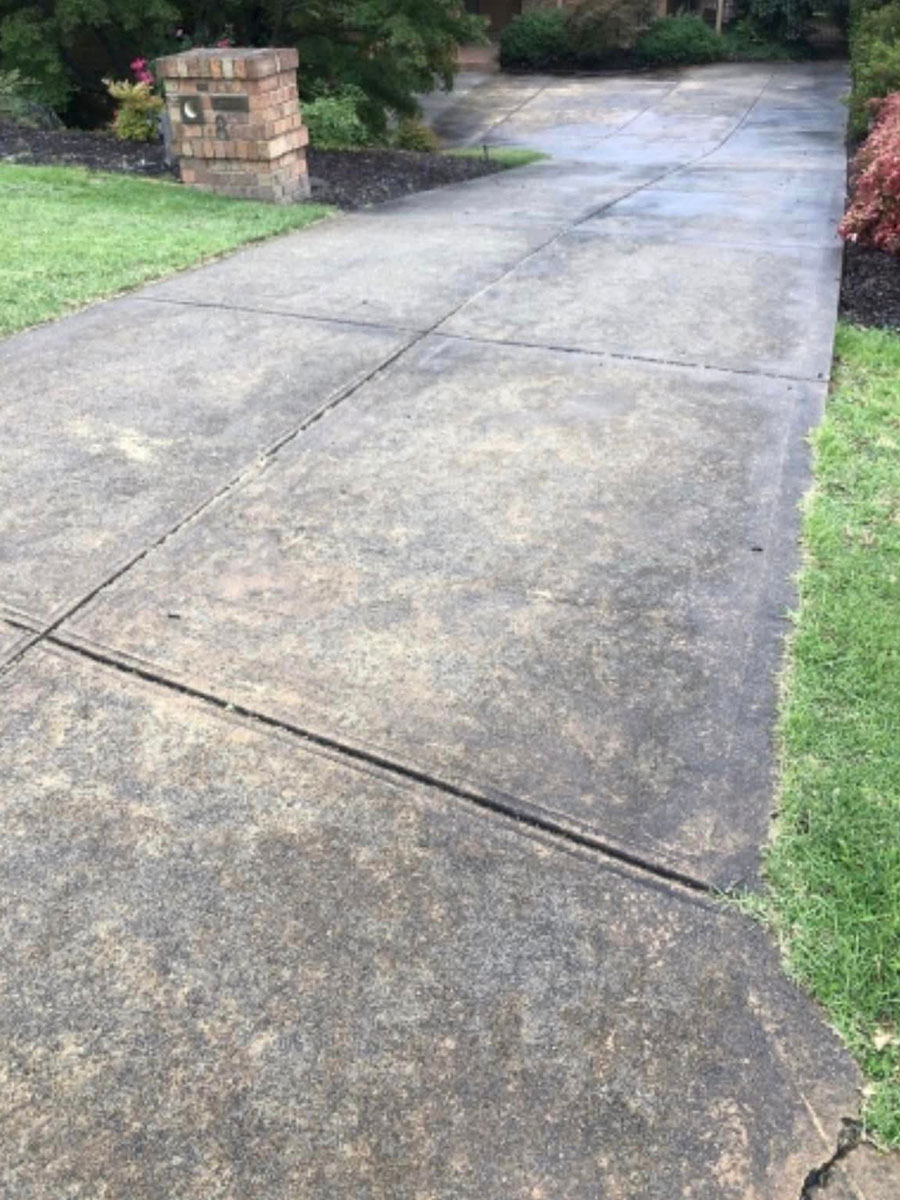 Before-Driveway Clean